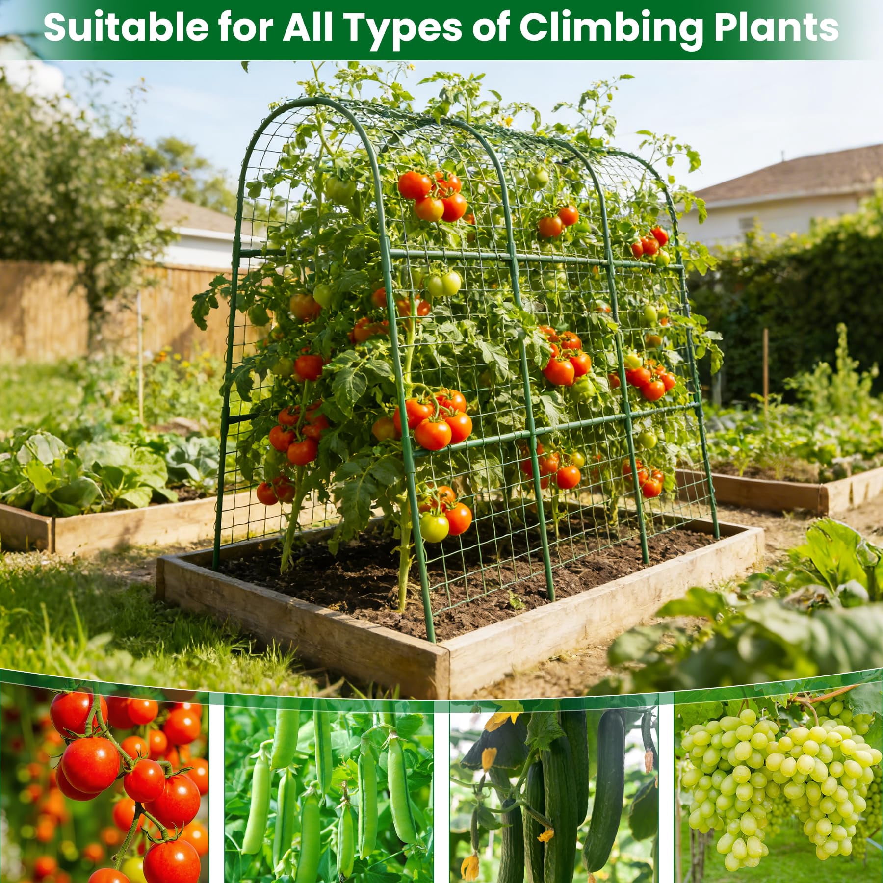 Cucumber Trellis For Raised Bed 32" L X 48" H  U-shape Garden Climbing Plants Outdoor Metal Arch Vegetables Plant Support Tomato Pea Zucchini Grape Flowers