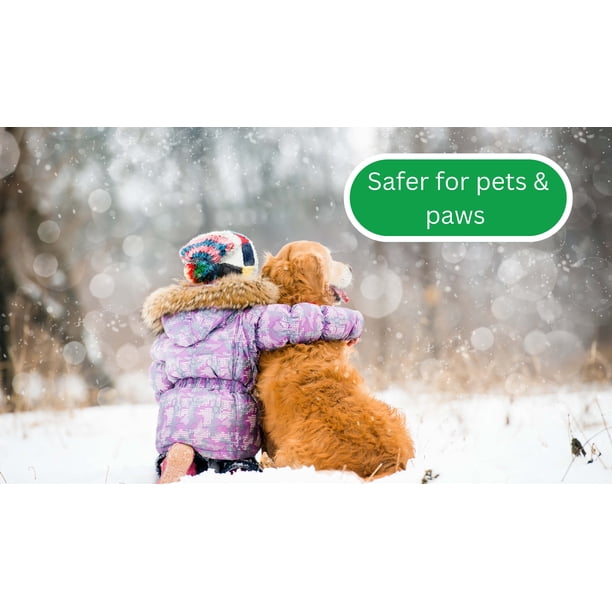Road Runner Pet Friendly Ice Melt, 9lb Jug - Walmart Business Supplies