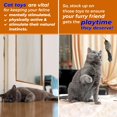 thumbnail image 4 of Mylar Crinkle Ball Cat Toy - 5 Pack, 4 of 4