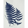 thumbnail image 3 of Lavoie, Tina 19x24 Black Modern Framed Museum Art Print Titled - Indigo Fern Botanical II, 3 of 5