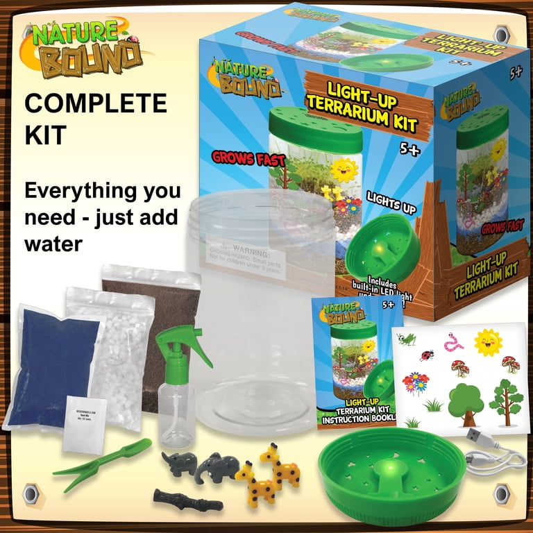 Nature Bound DIY Glow Mini Terrarium Kit with LED Light for Kids