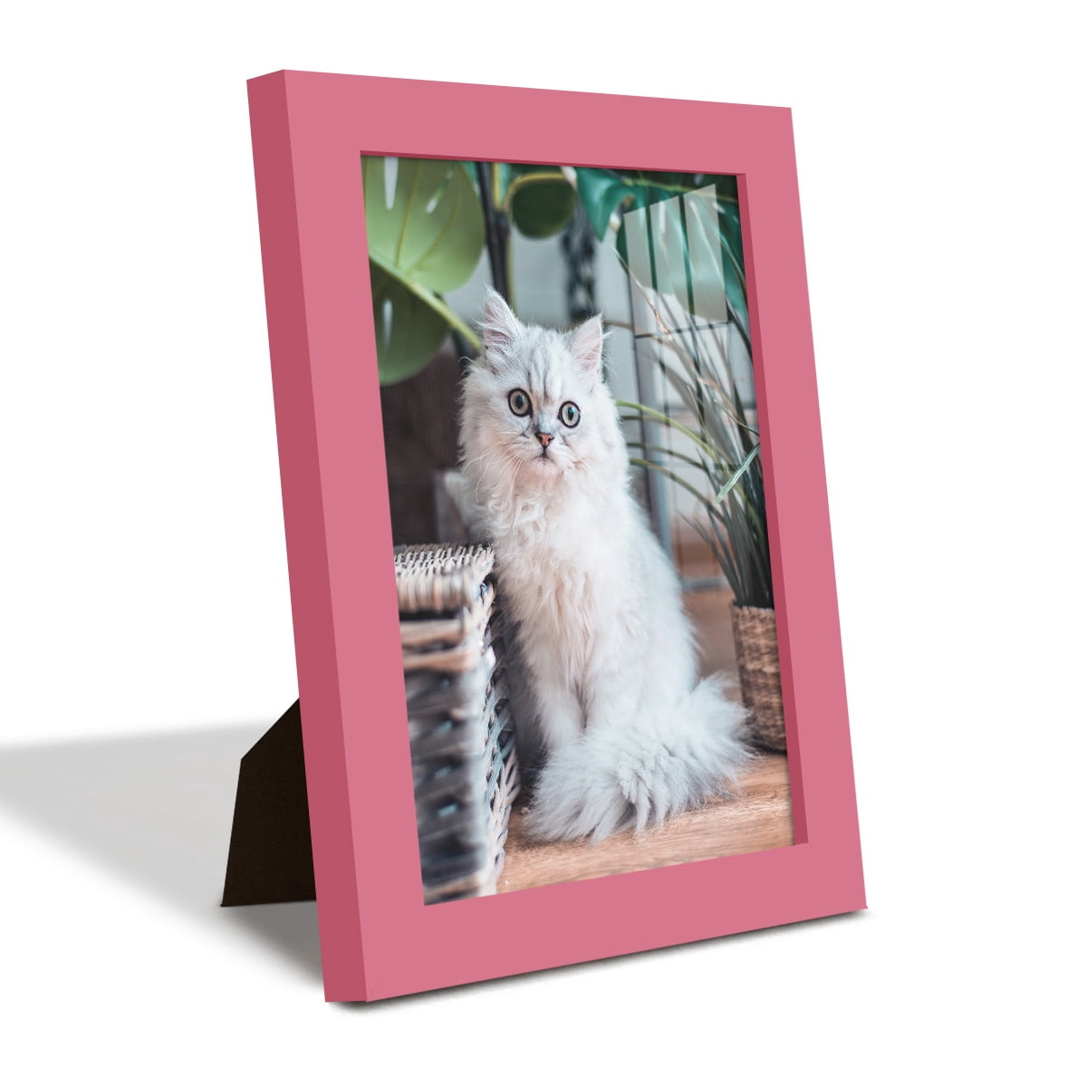 Modern 6 in. x 8 in. Hot Pink Picture Frame (Set of 4)