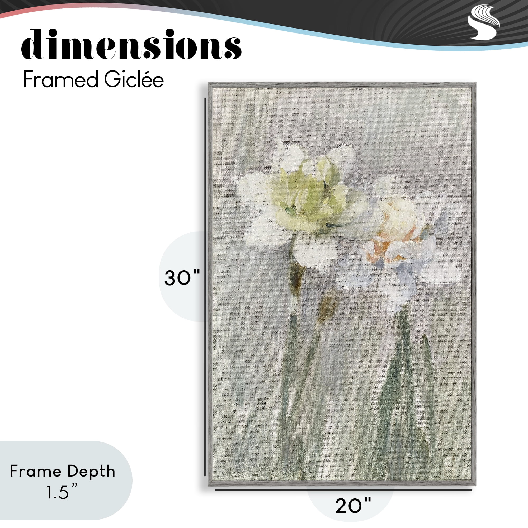 Stupell Industries Twin White Daffodils Gray Framed Giclee Art, design by Stellar Design Studio