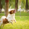 thumbnail image 2 of SHOWERORO 1 Set Dog Tie Out Cable Heavy Duty Cotton Rope for Outdoor Activities Pet Tethering, 2 of 5