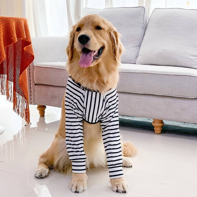 Premium Dog Elbow Protector Soft Padded Sleeve For Abrasion Resistance Breathable And Comfortable Dog Recovery Front Legs Sleeve For Large Dogs