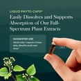 thumbnail image 6 of Gaia Herbs Ashwagandha Root - Stress Relief & Sleep Support Supplement - Supports Balanced Energy Levels & Positive Outlook* - 60 Vegan Liquid Phyto-Caps (30 Servings), 6 of 9