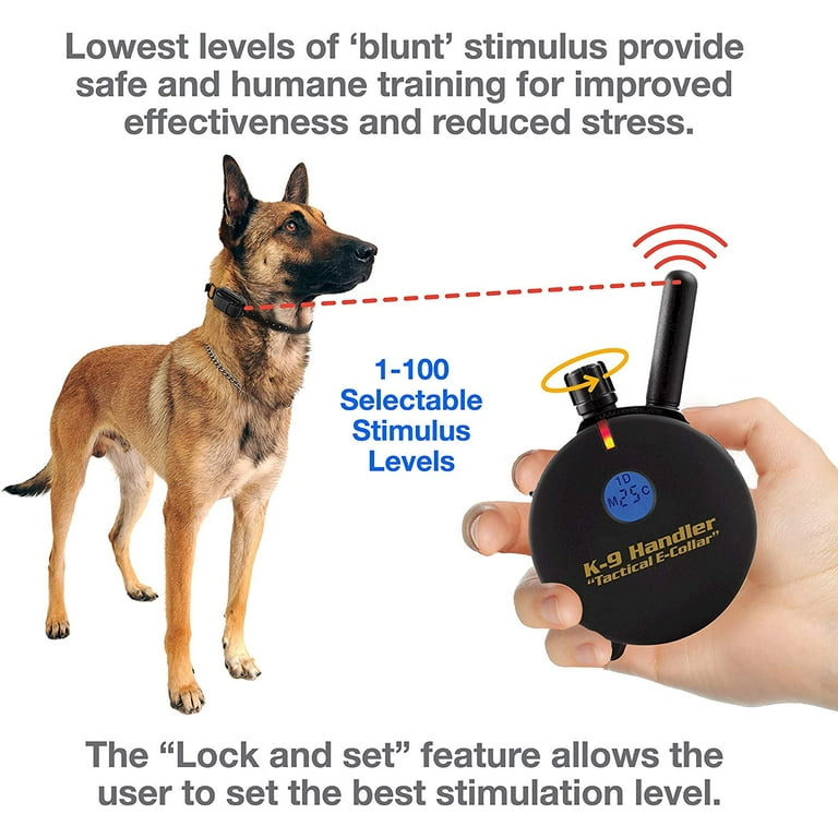 Einstein dog training collars sales