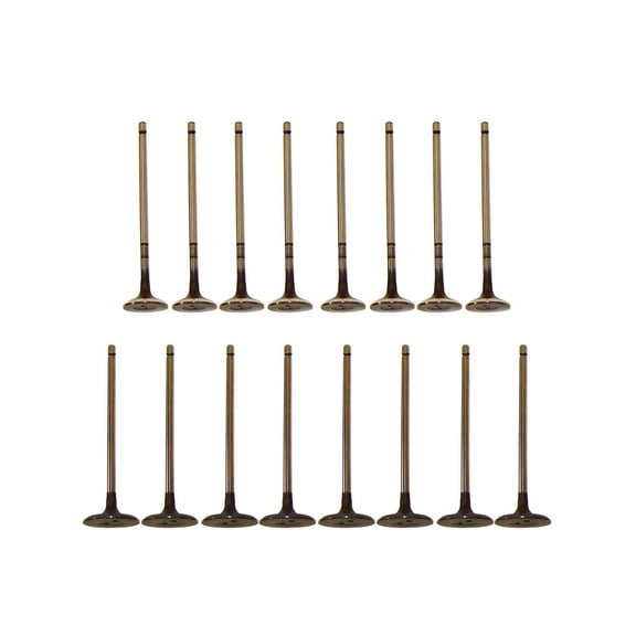 DNJ VK16928 Exhaust Intake Valve Kit Fits Cars & Trucks 2008-2015 Lexus, Pontiac, Scion, Toyota L4 1.8L DOHC 16V EV928 X8 IV928 X8