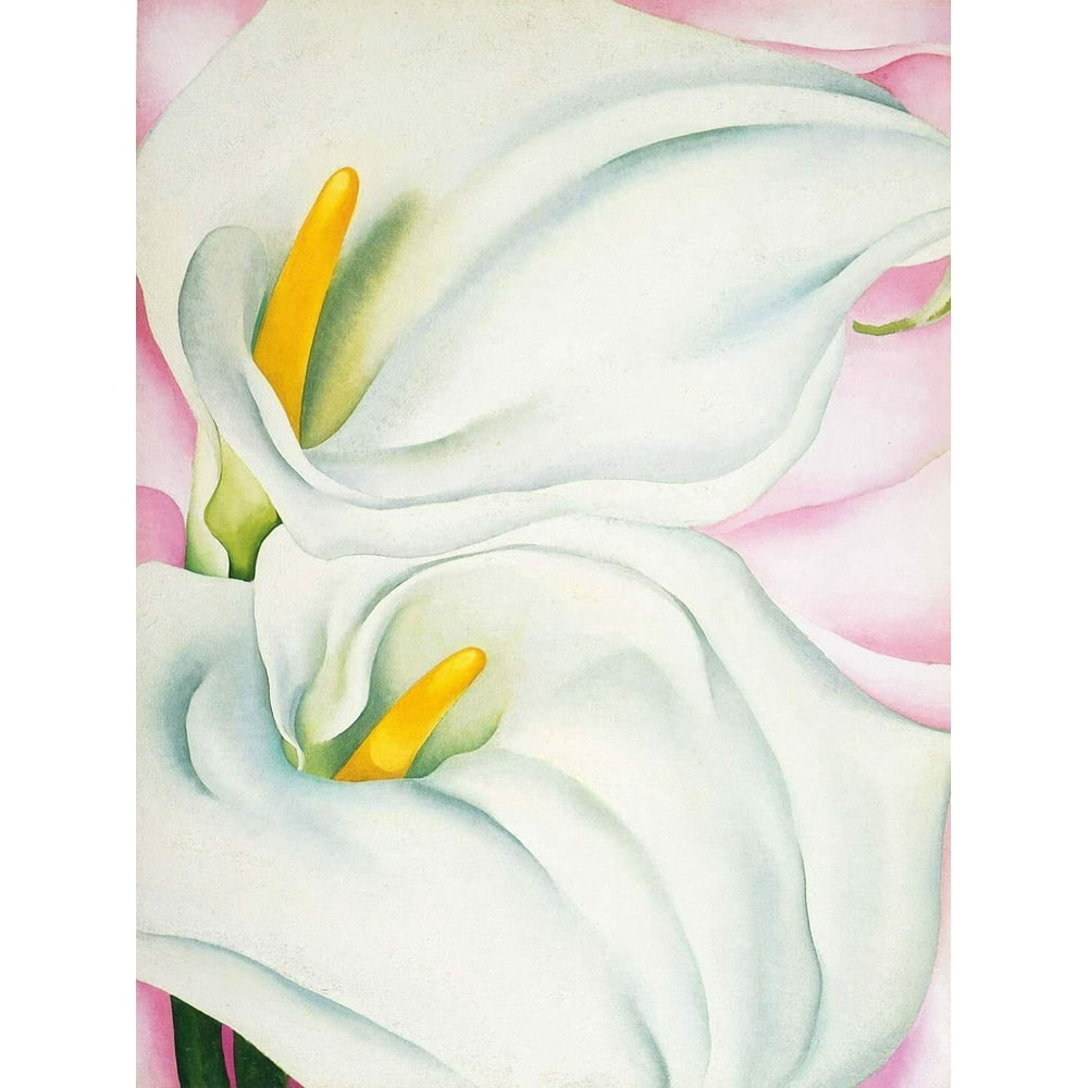 Two Calla Lilies On Pink - CANVAS OR FINE PRINT WALL ART - Walmart.com ...