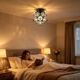 thumbnail image 6 of Leeye Black Star LED Ceiling Light, 3-Color Ambient Fixture with Transparent Cover for Bedroom, 6 of 9