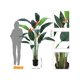 thumbnail image 3 of 6ft/7ft bird of paradise artificial plant con permanent flower - 17(20) trunks faux leaves, ideal para para indoor/outdoor decor, great housewarming gift, 3 of 8