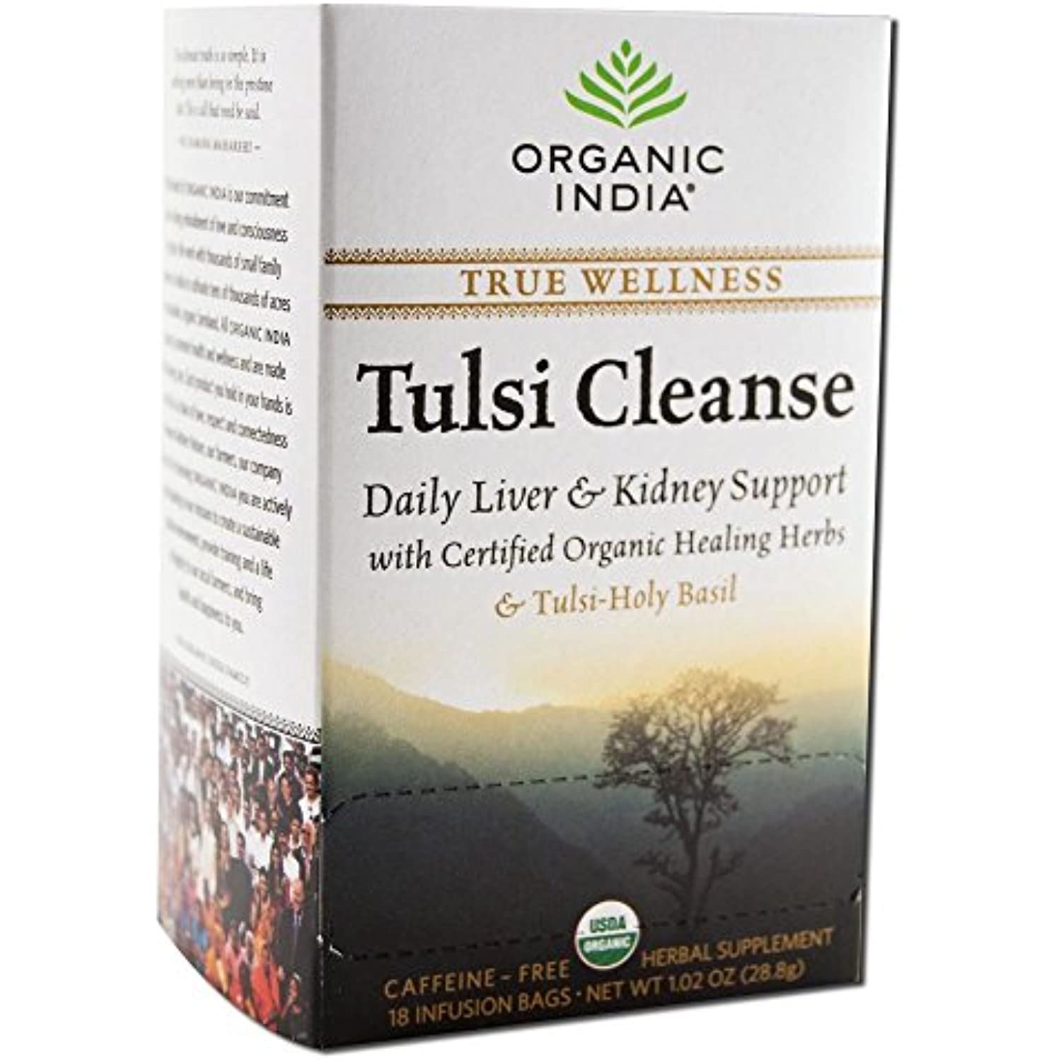 Organic India Tea Tulsi Cleanse Org
