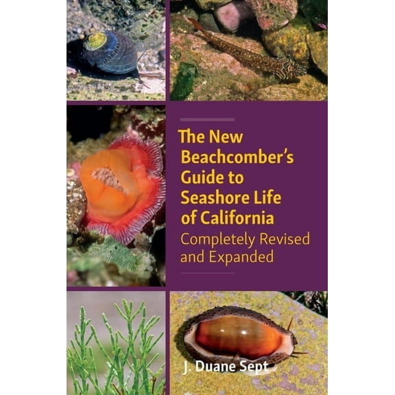 The New Beachcomber's Guide to Seashore Life of California: Completely Revised and Expanded, (Paperback)