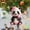 A, variant on Panda with Santa Hat Christmas Ornaments 2D Acrylic Cute Cartoon Xmas Tree Hanging Decorations for Holiday Party New Year Supplies Home Decor and Panda Lover Gifts, 1PC