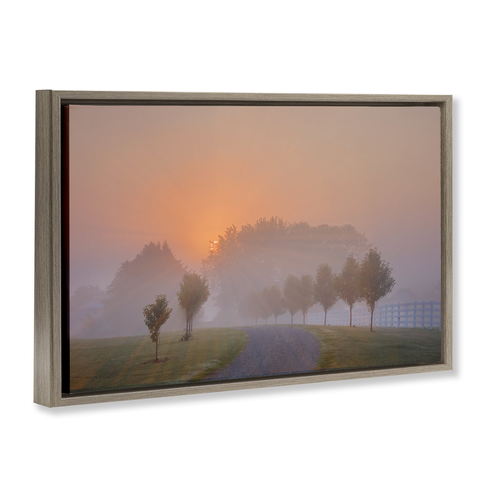 Stupell Industries Grove Path at Sunset Landscape & Nature Photography Brown Floater Framed Canvas Art Print Wall Art, 31 x 21