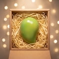 thumbnail image 6 of Squishy Mango Squeeze Stress Ball Smushers, Color Changing Fidget Toy with Crisp Sound, High Elastic Decompression Toy for Anxiety Relief, Funny Gift (as shown), 6 of 8