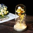 thumbnail image 2 of LED Fairy Lights with Glass Lampshade Artificial Rose in Glass, 2 of 5