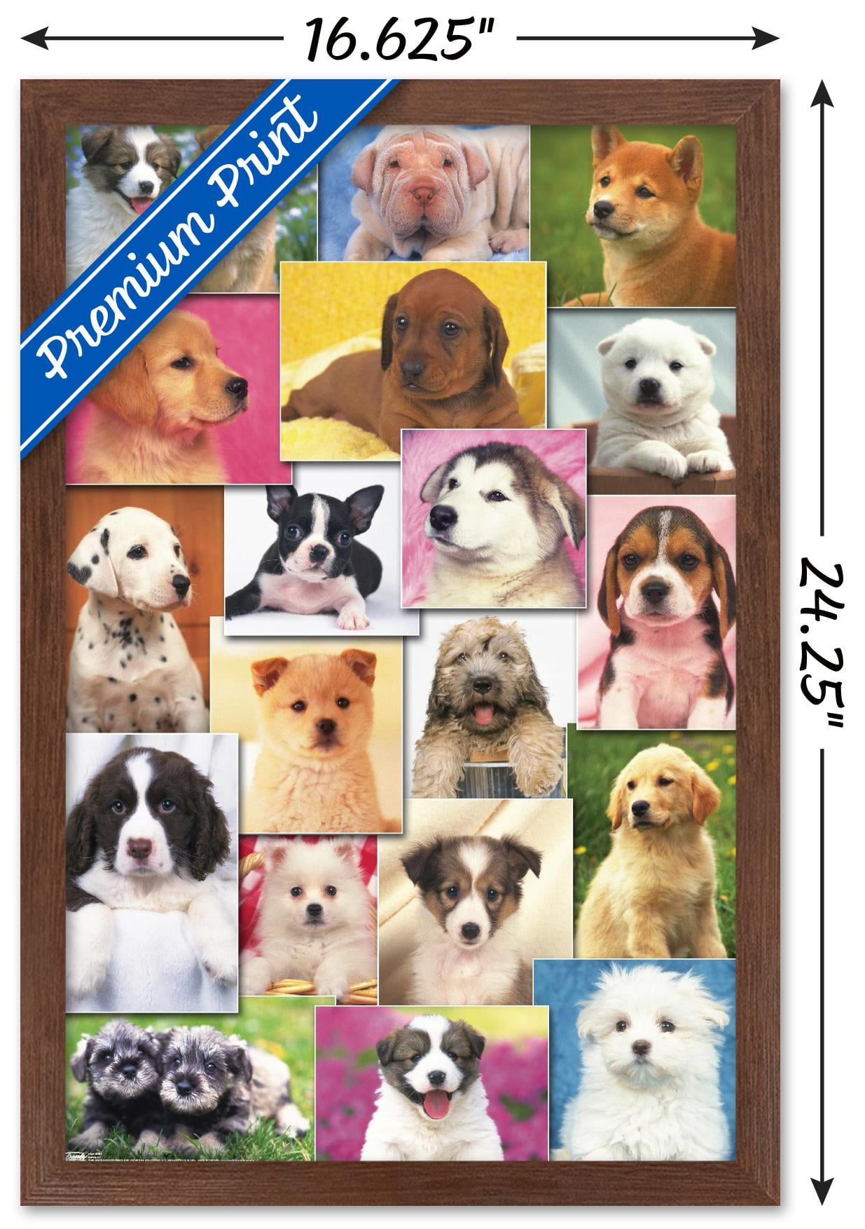 Keith Kimberlin - Puppies Grid Wall Poster, 14.725" x 22.375", Framed