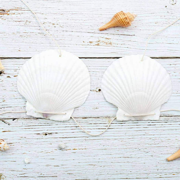 Zoestar Mermaid Seashell Bra with Cord Hawaiian Shell Bikini Top Fashion  Chest Chain for Women White