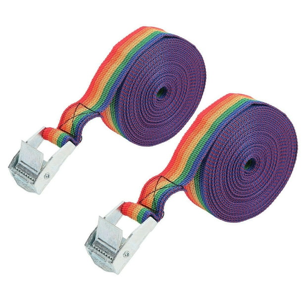 Lashing Strap Adjustable Zinc Iron Buckle Ratchet Tie Down Strap with Quick Release Cam