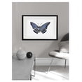 thumbnail image 3 of Cuadro decorativo pintado 100% a mano de mariposa enmarcado con madera y vidrio de la colección AnimalArt, 3 of 3