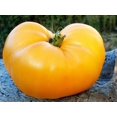 thumbnail image 1 of HJADGG Seeds Tomato Lemon Giant Vegetable Heirloom Non-GMO, 1 of 8