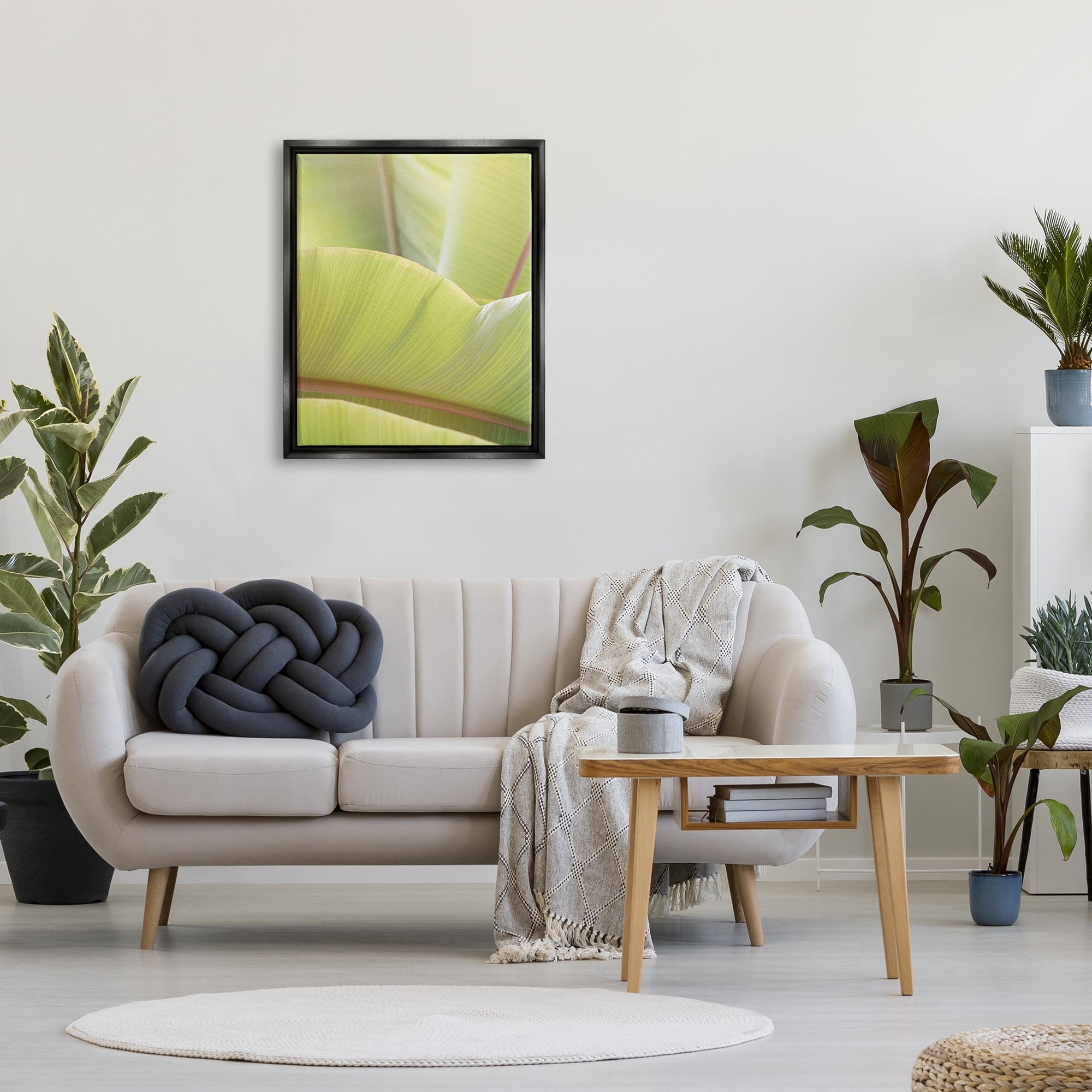 Stupell Modern Botanical Close Up Leaf Botanical & Floral Photography Black Floater Framed Art Print Wall Art