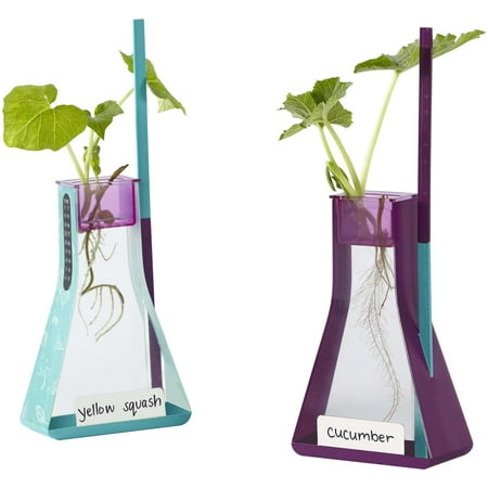 Educational Insights Nancy B's Science Club Way to Grow Hydroponics Kit & Gardening