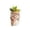 B, variant on 4.3" Girl Face Planters Pots Head, Small Pot with Drainage Holes Flower Pot Head Planter Garden Pots for Plants Lover Decorative Planter for Indoor and Outdoor Plants, A