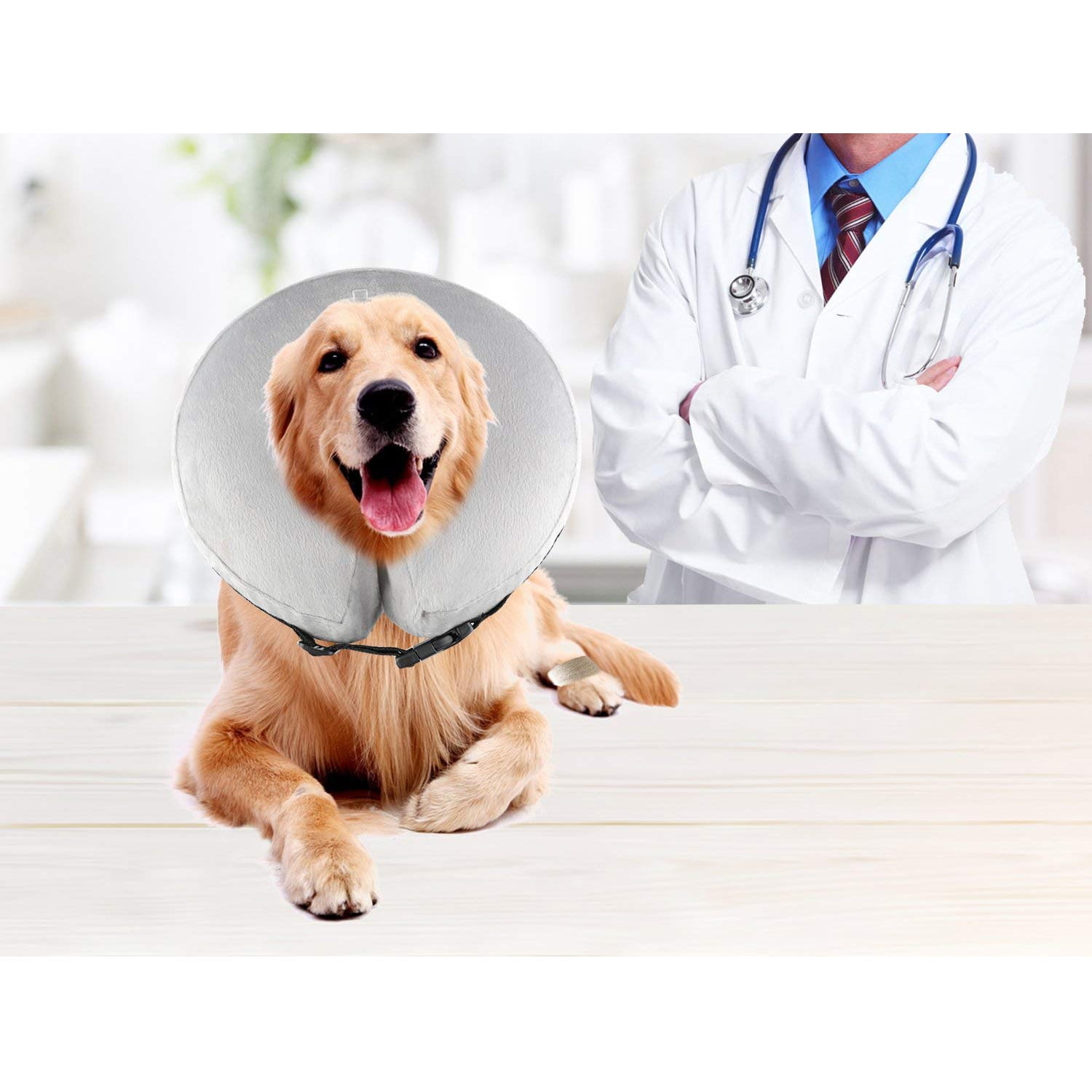 inflatable dog cone walmart