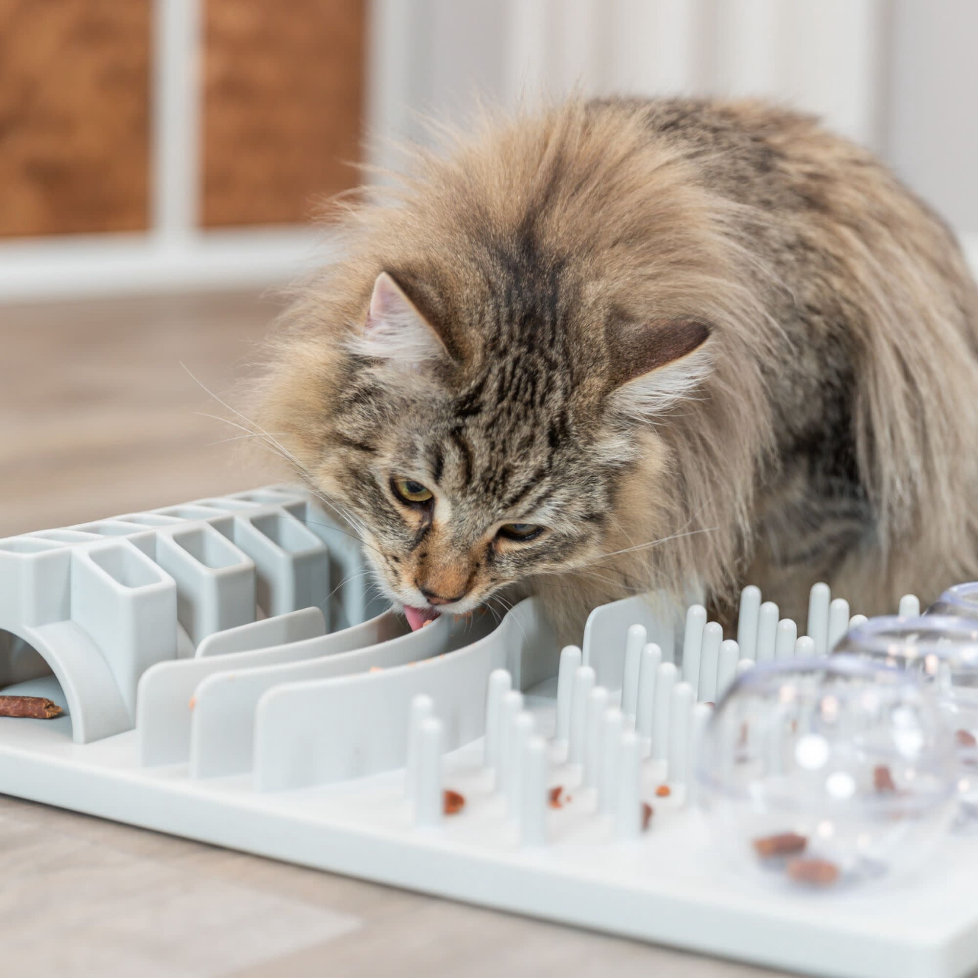 TRIXIE Fun Board Strategy Game for Cats, Puzzle Toy, Treat Dispenser, Interactive Play, White