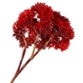 thumbnail image 4 of Artificial Rice Seed Fruit Flower Rustic Fake Flower Wedding decor artificial rice seed Party Floral Decor Home Ornament, Red, 4 of 6