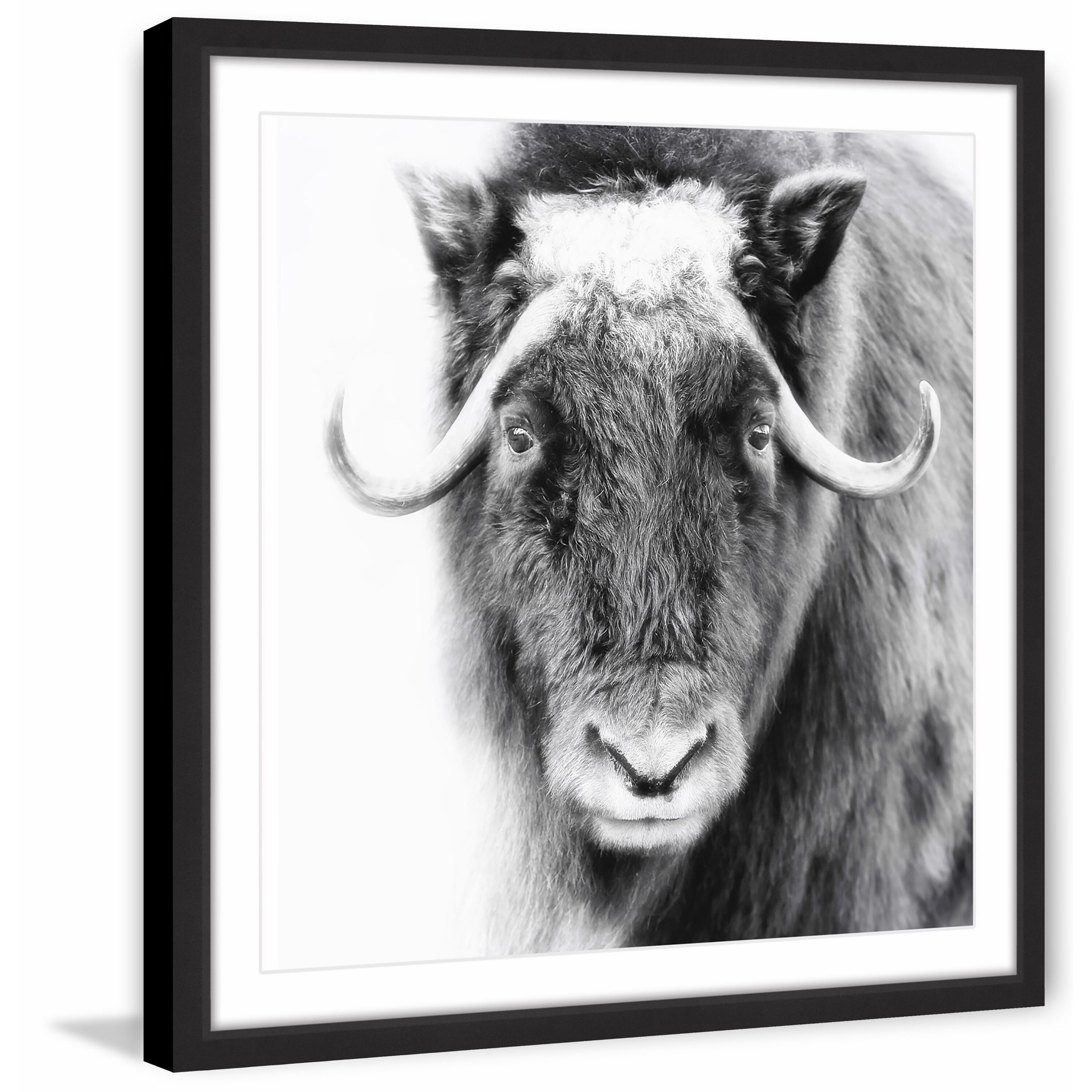 Look at Me Framed Painting Print