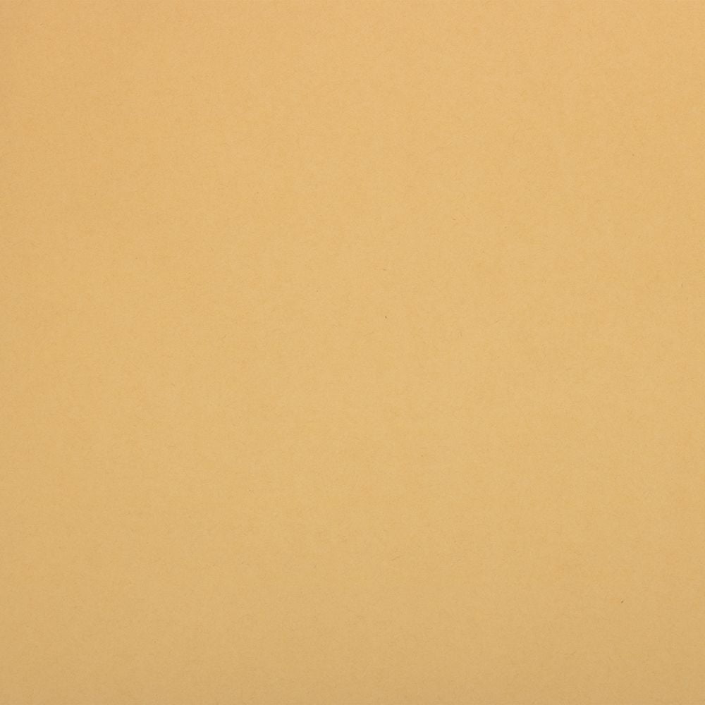 JAM Paper Beige Matte Light Kraft All Occasion Gift Wrap Papers, (2 Rolls) 50 sq ft.