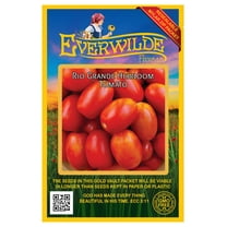 Everwilde Farms - 100 Rio Grande Heirloom Tomato Seeds - Gold Vault Jumbo Bulk Seed Packet