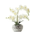 thumbnail image 1 of Guardoinrt Realistic Artificial White Orchid Plant In Pot - Low Maintenance Wide Application Realistic white, 1 of 6