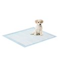 thumbnail image 5 of Furinno Tapis d'Entraînement pour Animaux, Grand, 50 Unités FP05076, 5 of 5