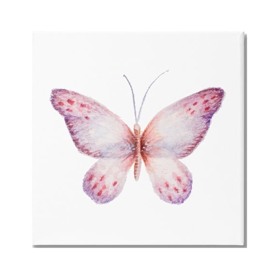 Stupell Industries Delicate Butterfly Red Spotted Wings Insect Illustration Painting Gallery Wrapped Canvas Print Wall Art, Design by Janice Gaynor
