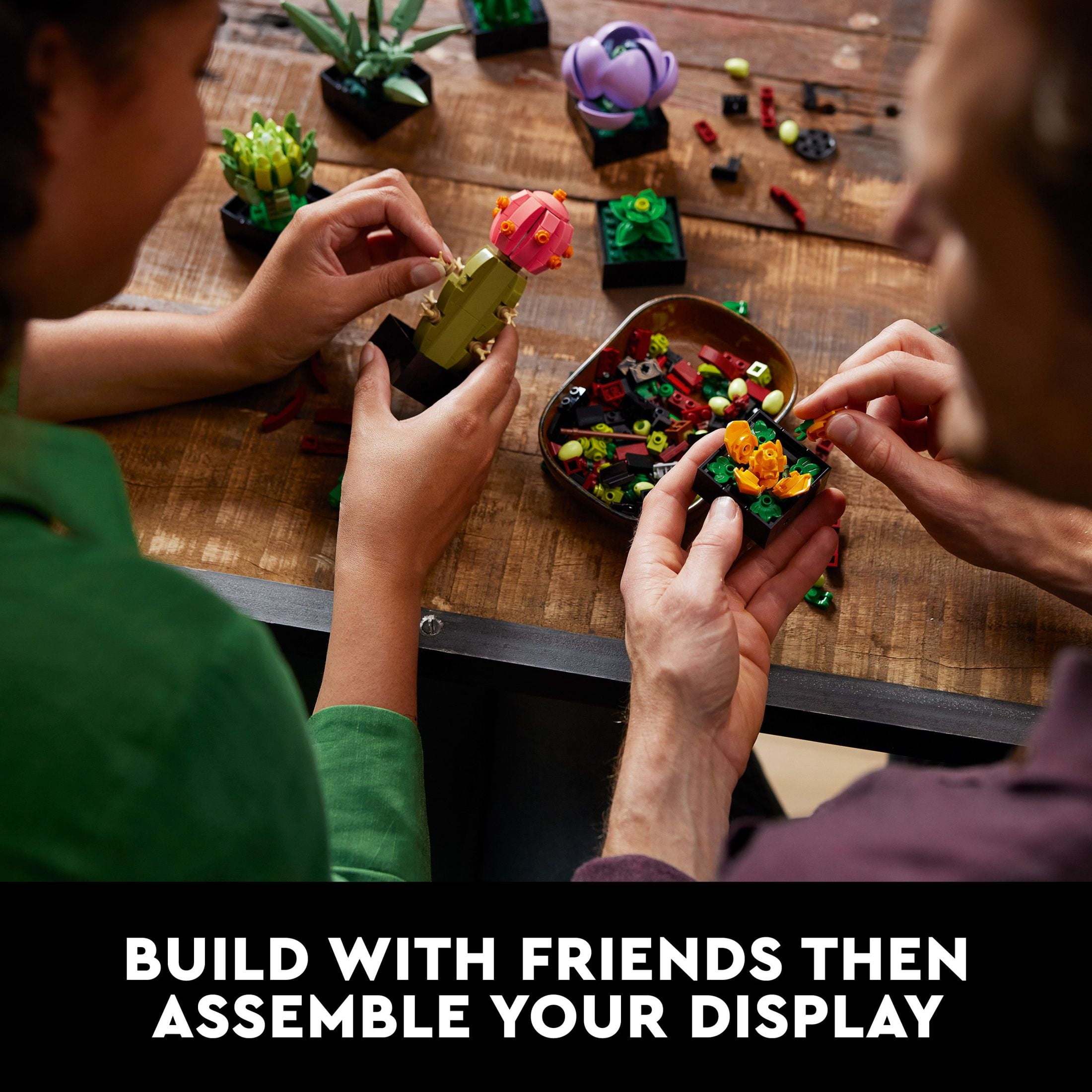 Display Case for LEGO® Succulents 10309