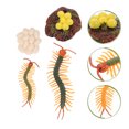 thumbnail image 3 of 1 Set Centipede Life Cycle Figure Centipede Growth Cycle Figure Educational Toy, 3 of 8