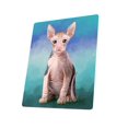 thumbnail image 1 of Sphynx Cat Blanket BLNKT49116, 1 of 3