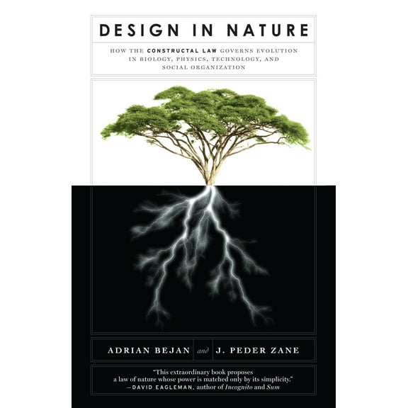 Design in Nature : How the Constructal Law Governs Evolution in Biology, Physics, Technology, and Social Organizations (Paperback)