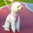 thumbnail image 3 of BeesClover Pet Chest Strap Reflective Vest With Leash Outdoor Walking Lead Leashes Harness Pet Accessories, 3 of 9