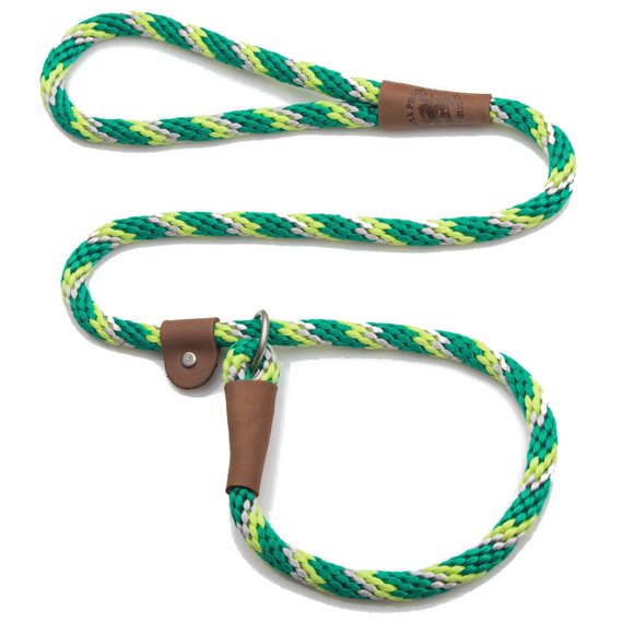 Mendota Pet Slip Leash - Dog Lead and Collar Combo - Made in The USA - Ivy, 1/2 in x 4 ft - for Large Breeds