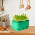 thumbnail image 4 of WYBXZ Sprout Basin, Mung Germination Machine, Garden Seed Sprouter Tray, Roof Vegetable Planting Box, Soild-Free Wheatgrass Sprouting Growing Kit for Garden Home Office, 4 of 10
