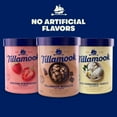 Tillamook OldFashioned Vanilla Ice Cream, 48 oz