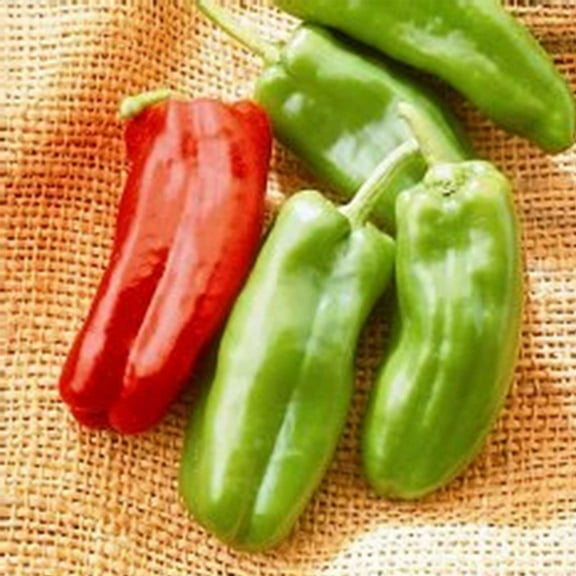 Giant Marconi Hybrid - Sweet Pepper Garden Seeds - 10 Seeds - Non-GMO - Italian Grilling Pepper - AAS Winner -Vegetable Gardening Seed