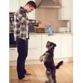 thumbnail image 5 of Yirtree Pet Puppy Chew Squeaker Squeaky Plush Sound Pig Elephant Duck for Dog Sound Toys-Pack of 3, 5 of 7