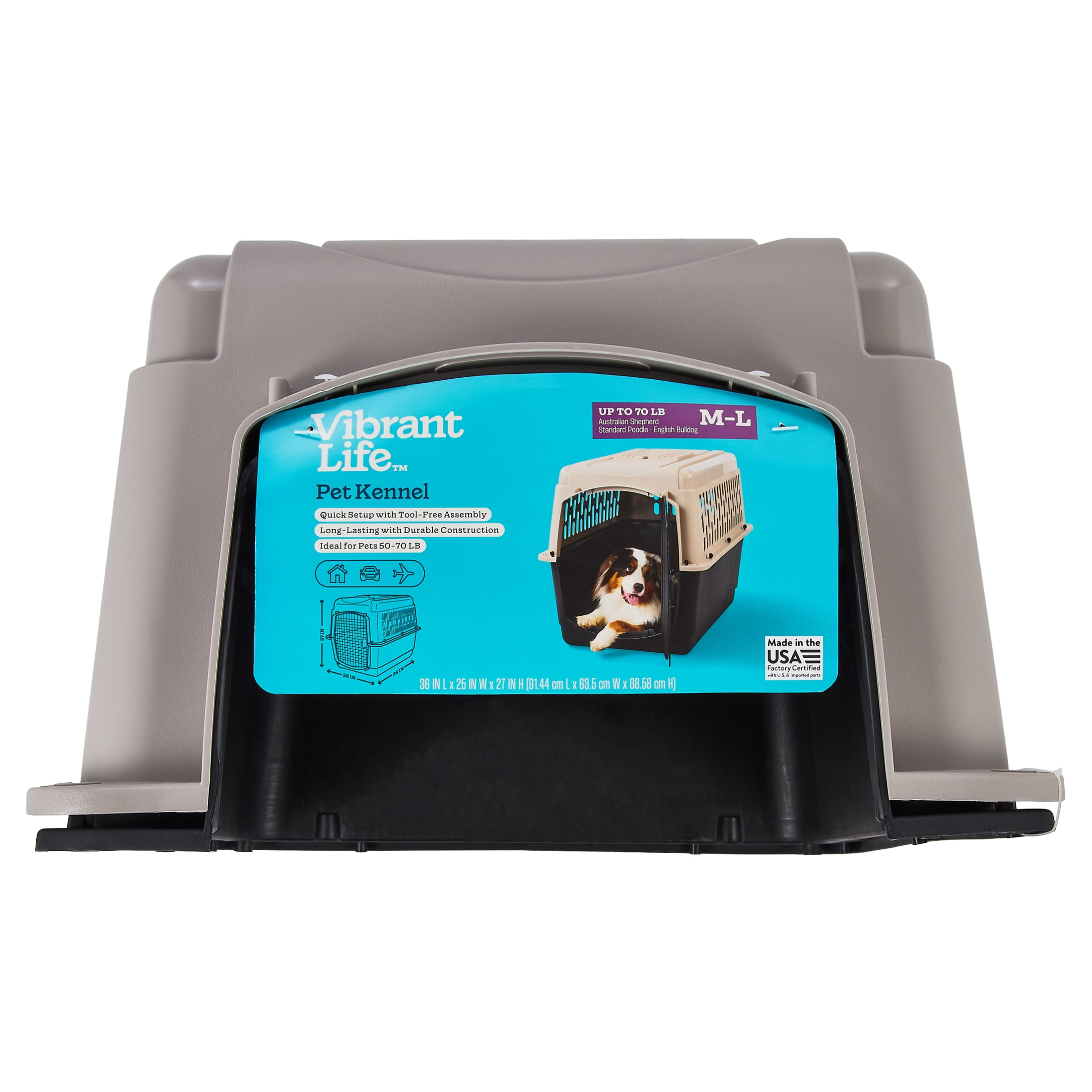 Vibrant Life Large Plastic Hard-Sided Pet Carrier, Black and Gray