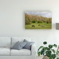 thumbnail image 3 of Trademark Fine Art 'Horses In The Field West Virginia Color' Canvas Art by Monte Nagler, 3 of 3